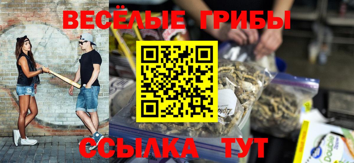 Галлюциногенные грибы MAGIC MUSHROOMS Великие Луки