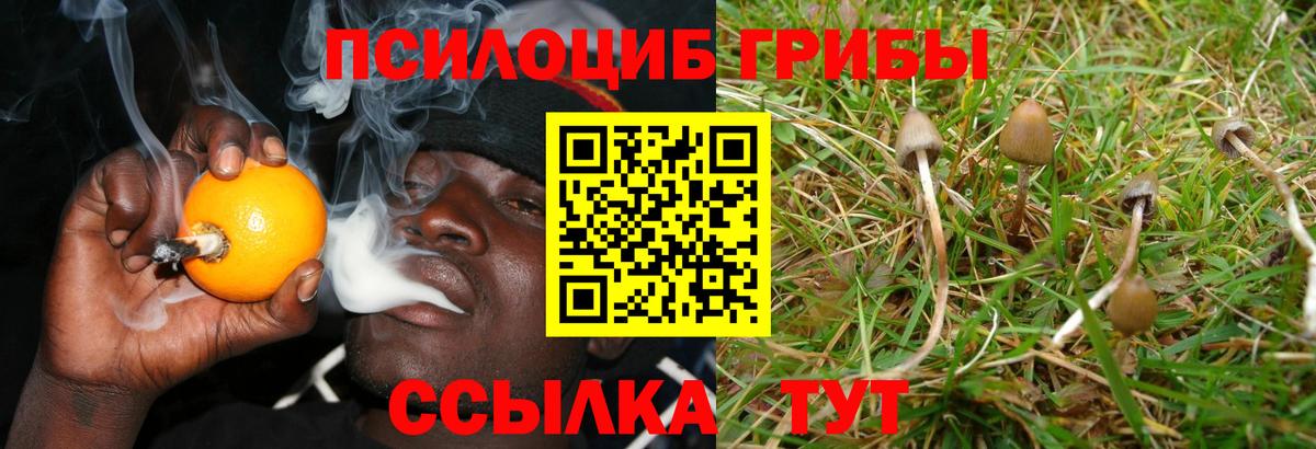 Галлюциногенные грибы мухоморы  Вход с VPN  Великие Луки 